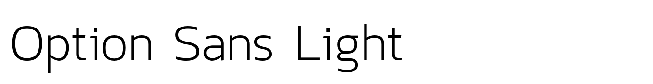 Option Sans Light